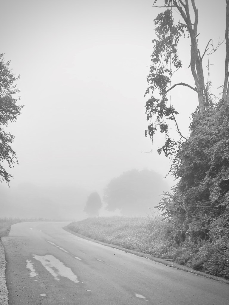 Welcome Home – (A Draft from&nbsp;2022)