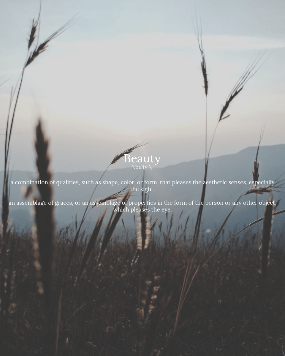 The Transcendentals: Beauty&nbsp;p.2