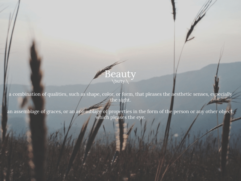 The Transcendentals: Beauty