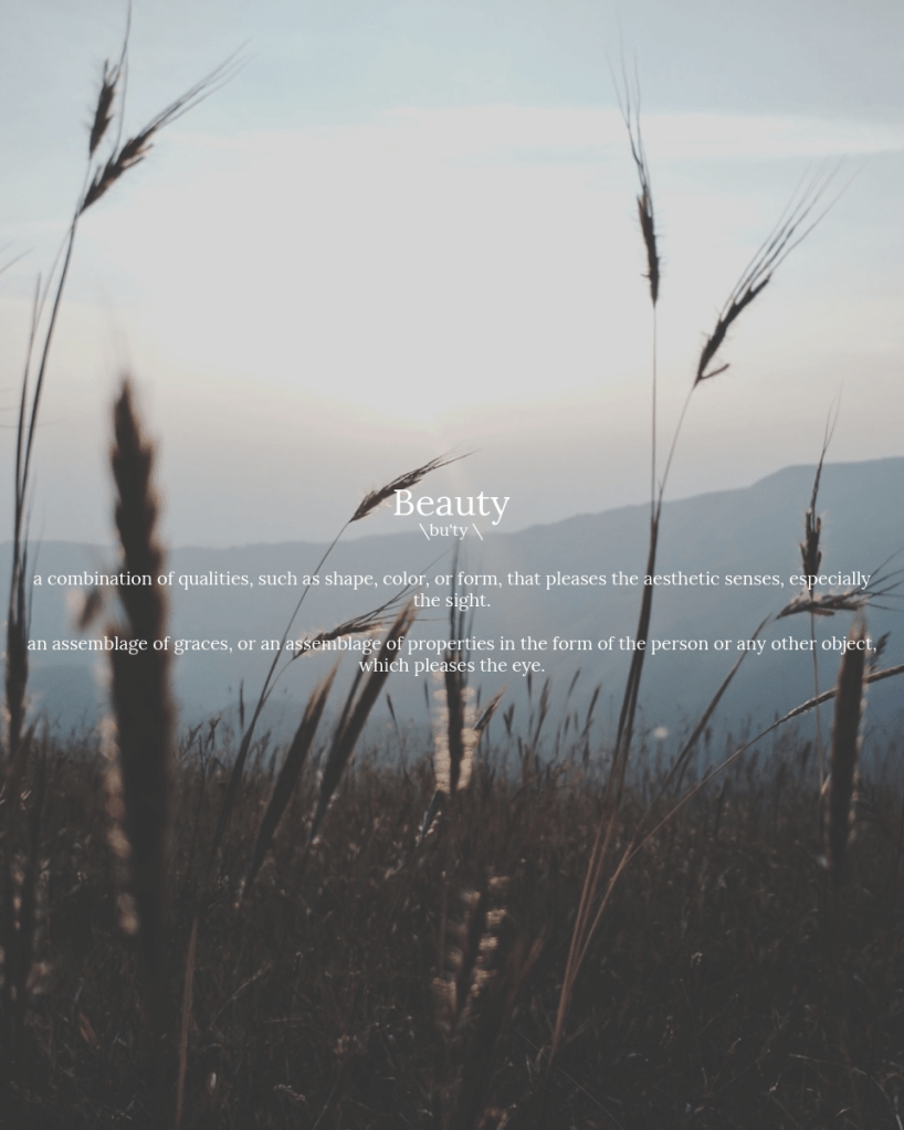 The Transcendentals: Beauty