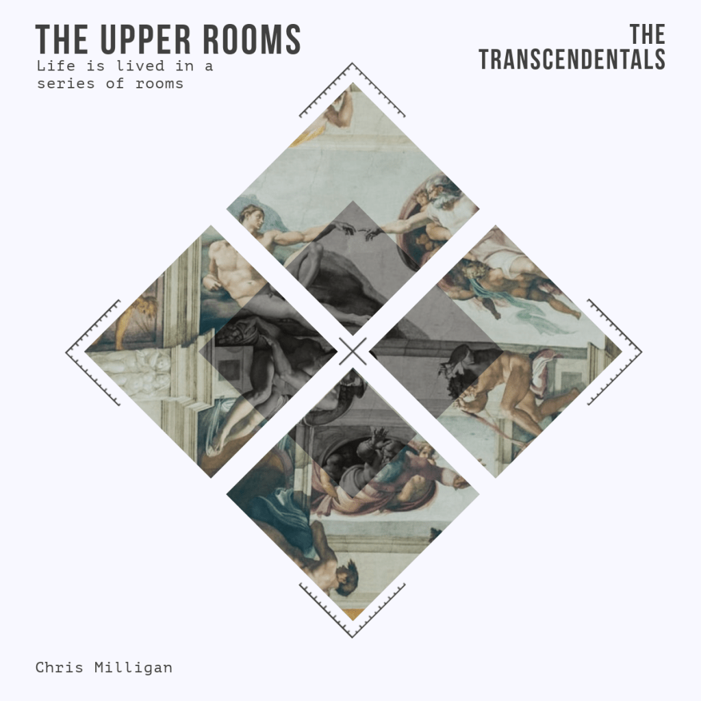 Why do the Transcendentals&nbsp;Matter?