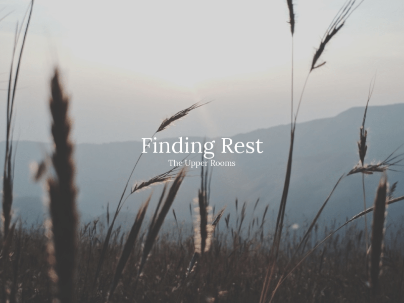 Finding Rest | When Snow Invites us to Slow&nbsp;Down