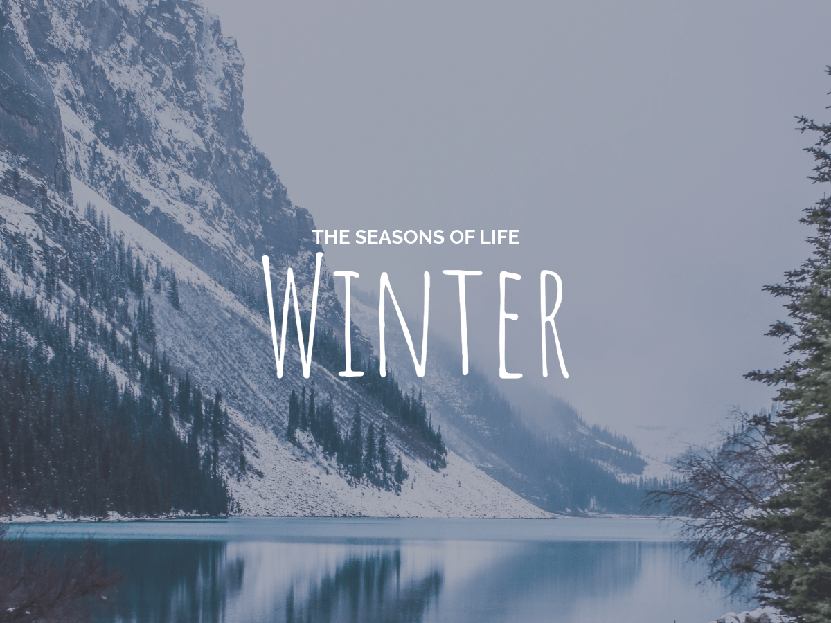 The Seasons of Life |&nbsp;Winter