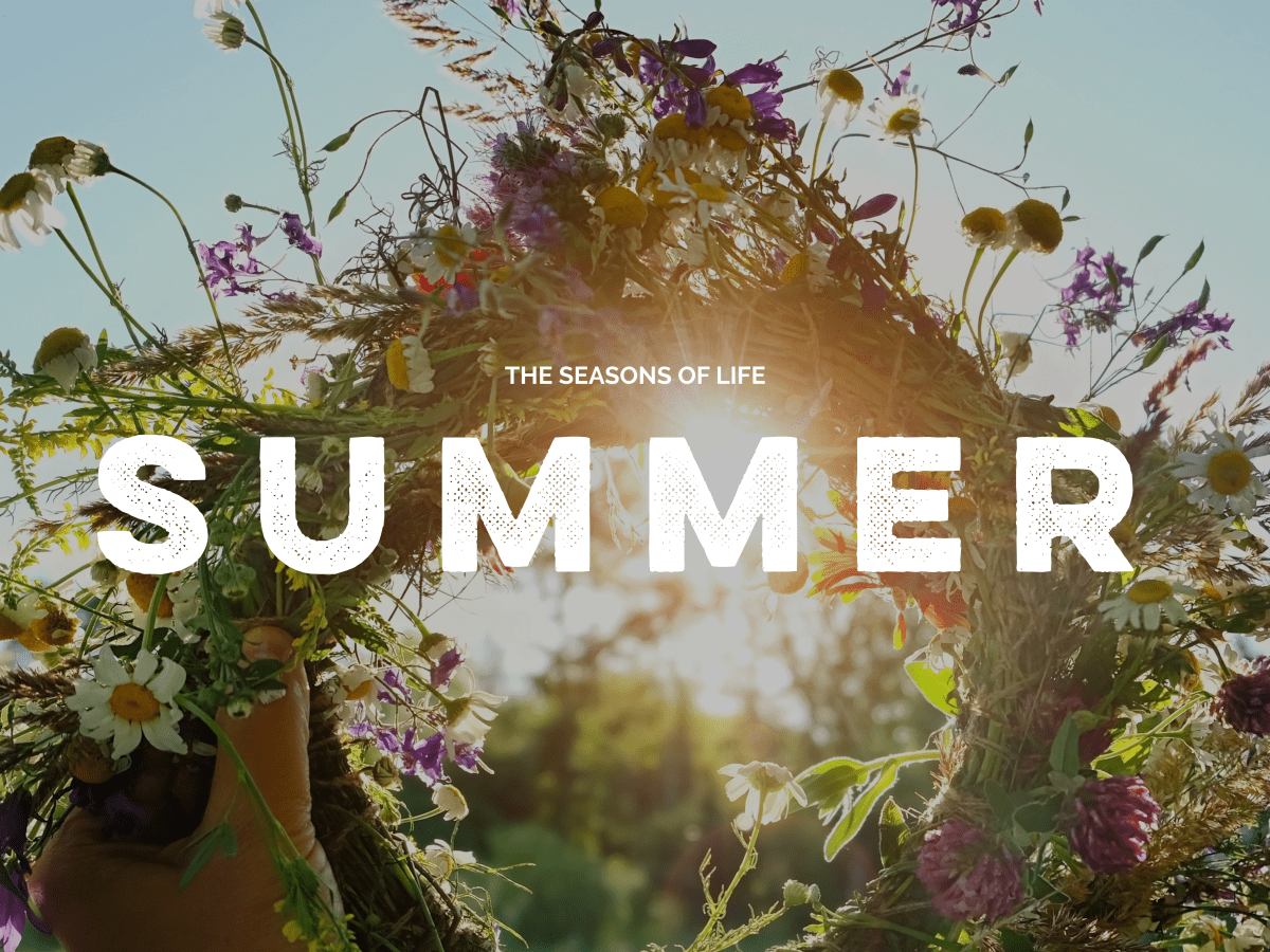 The Seasons of Life |&nbsp;Summer